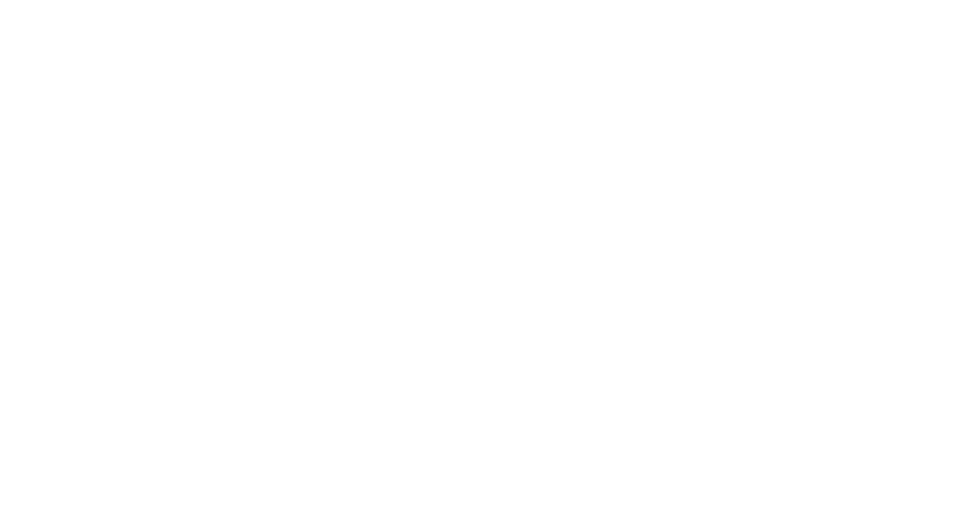RK-1_0000_bosch